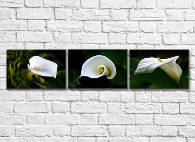 Триптих из цветков белой каллы TSv5725 фото