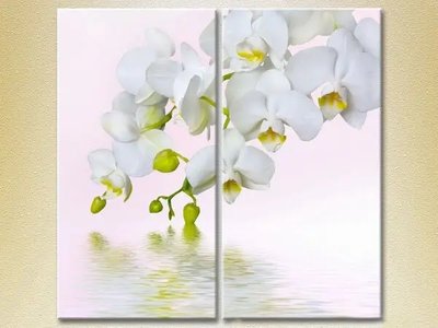 Модульные картины Белая орхидея_01 TSv6625 фото