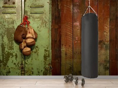 Фотообои Старый шкафчик и боксерские перчатки, спорт Spo2925 фото