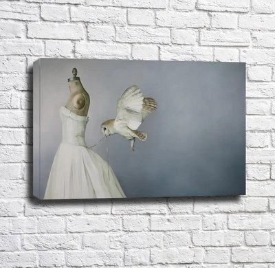 Манекен в белом платье и сова, развязывающая шнуровку Emi14915 фото