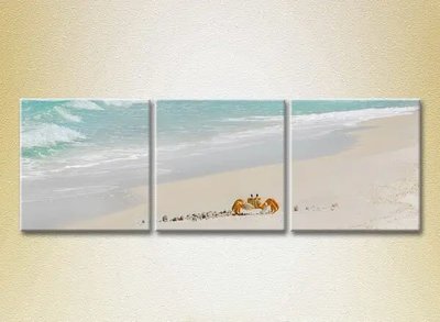 Модульные картины Краб на песке Mor8626 фото