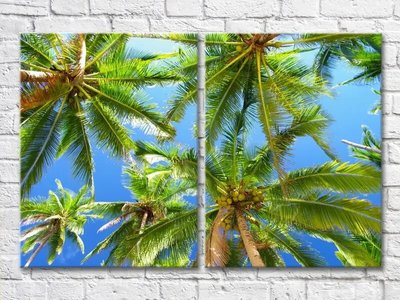 Диптих Листья пальмы на фоне неба Mor8176 фото
