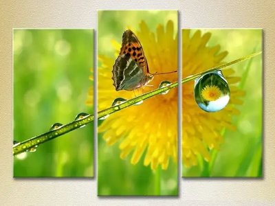 Модульные картины Бабочка и роса ZHi10526 фото