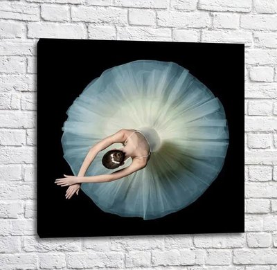 Постер Балерина в белой пачке, на черном фоне, танцы Tan18184 фото