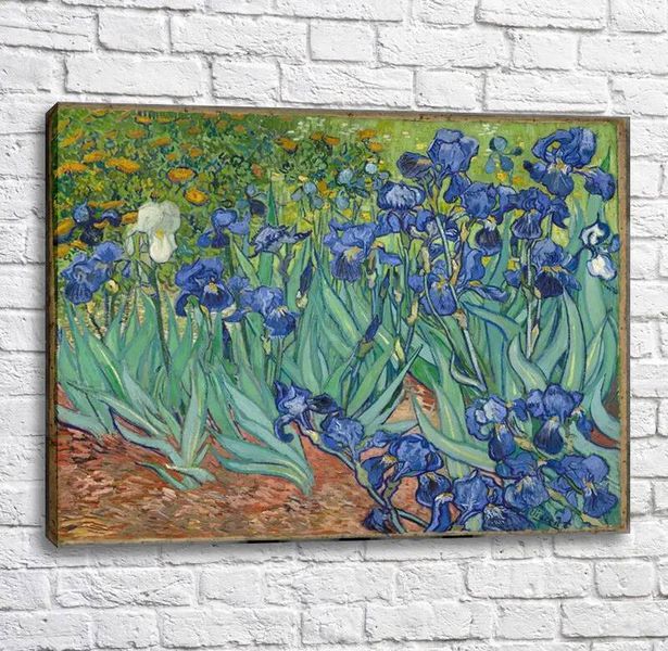 Картина Irises,Vincent van Gogh Van11576 фото
