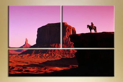 Модульные картины каньон и ковбой Fig8877 фото