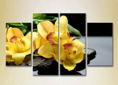 Модульные картины Желтые орхидеи на камнях_01 TSv8027 фото