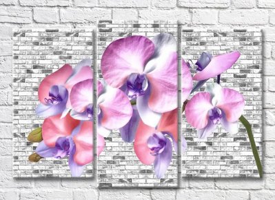 Триптих Ветка лиловой орхидеи на кирпичном фоне 3D7777 фото