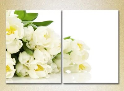 Модульные картины Букет белых тюльпанов_01 TSv6627 фото