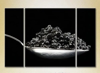 Tablouri modulare Black caviar_01 Eda10577 фото