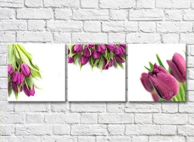 Триптих из фиолетовых тюльпанов TSv5727 фото