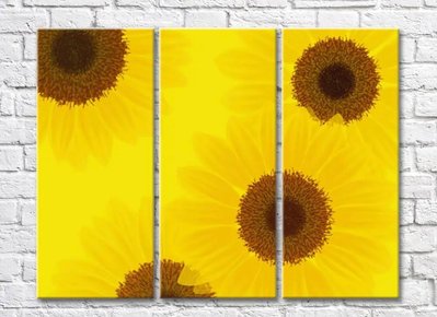 Abstracție florală din floarea soarelui pe un fundal galben TSv5642 фото