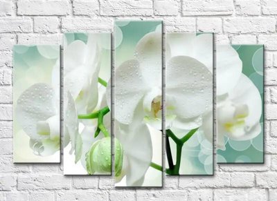 Poliptic Ramă de orhidee albă pe fond verde 3D7192 фото