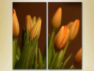 Модульные картины Тюльпаны TSv6842 фото