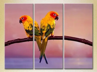 Модульные картины Два попугая_02 ZHi10542 фото