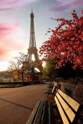 Фотообои Париж, вид на Эйфелевую башню Gor4078 фото