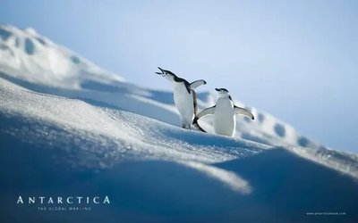 PhotoPoster Antarctica_27 Ant17997 фото