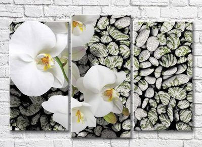 Триптих Ветка белой орхидеи на фоне узорчатых камней 3D7778 фото