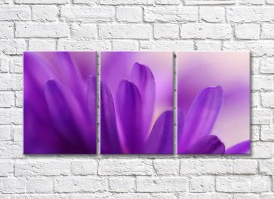 Триптих из фиолетовых лепестков TSv5728 фото