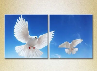 Модульные картины Два голубя в полете_01 ZHi10628 фото