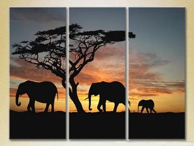 Tablouri modulare Elefanți apus de soare în Africa_01 ZHi10478 фото