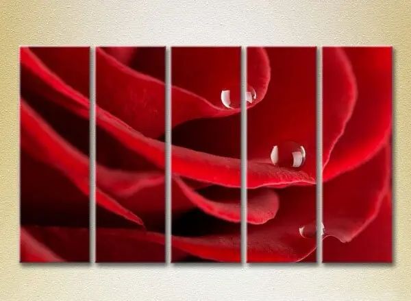 Модульные картины Капли на красной розе_03 TSv6978 фото