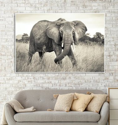 Африканский слон в саванне, сепия ZHi14580 фото
