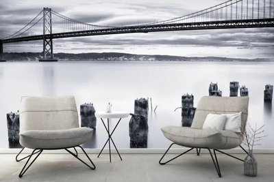 Фотообои Мост из бухты Окленд в черно белом стиле Ark2129 фото
