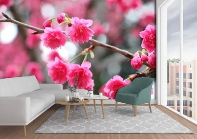 Фотообои Ветка цветущей розовой сакуры TSv2779 фото