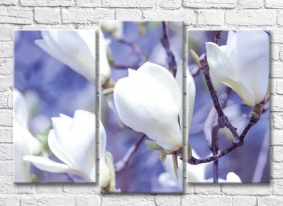 Triptic Ramă de magnolie albă pe un fundal liliac 3D7779 фото