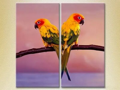Модульные картины Два попугая ZHi9129 фото