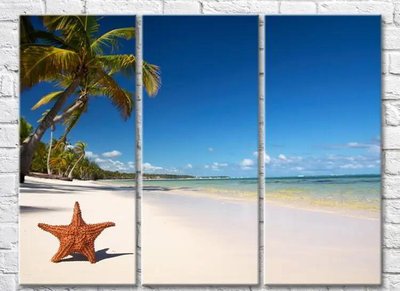 Триптих На пляже с пальмами морская звезда Mor9930 фото