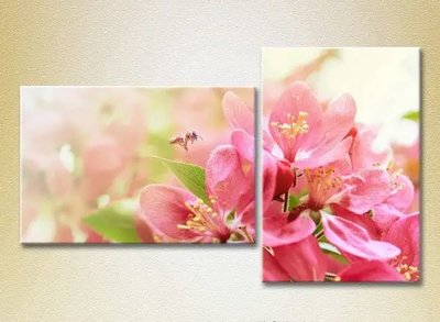 Tablouri modulare Pear blossom and bee_01 TSv6730 фото