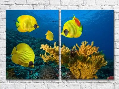 Диптих Желтые рыбки и кораллы на дне Mor8180 фото