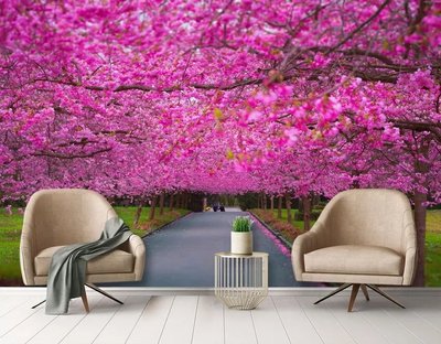 Фотообои Аллея из розовых деревьев сакуры TSv2780 фото