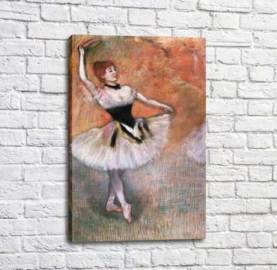 Poster Balerina în tutu alb-negru, plastic, balet Tan18188 фото