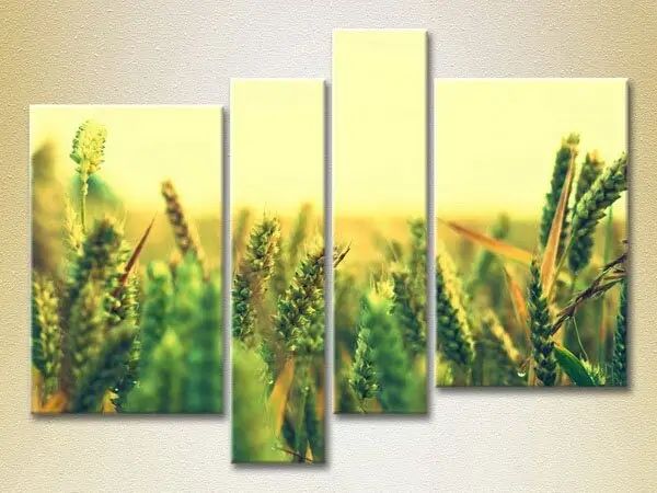 Модульные картины Пшеничное поле_02 TSv7980 фото
