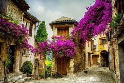 Фреска улочка с яркими фиолетовыми цветами Fre3881 фото