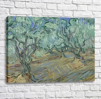 Картина Оливковая роща, Ван Гог Van11681 фото