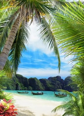 Фреска тропический пляж и пальма с лодками Fre3982 фото