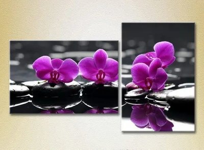 Модульные картины Фиолетовые орхидеи на камнях TSv6832 фото