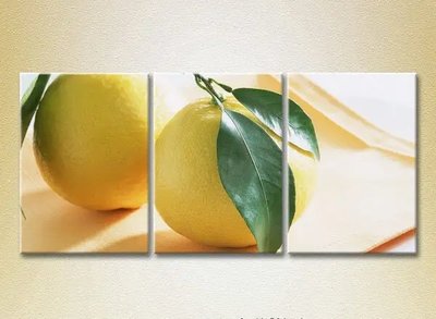 Модульные картины Два лимона Eda10782 фото