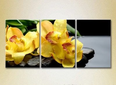 Модульные картины Желтые орхидеи на камнях TSv10132 фото