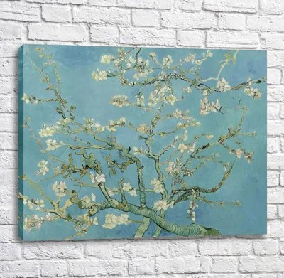 Pictură de Vincent van Gogh, Floare de migdal Van11632 фото