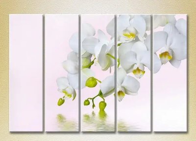 Модульные картины Белая орхидея_02 TSv7433 фото