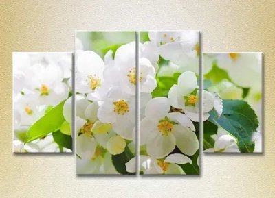 Tablouri modulare Apple blossom_02 TSv8033 фото