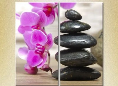 Модульные картины Массажные камни и орхидея TSv6633 фото