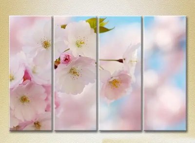 Модульные картины Цветы сакуры TSv7633 фото