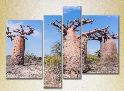 Tablouri modulare Trei baobabi Pri7583 фото