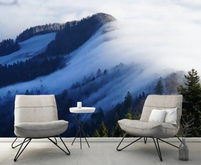 Ceață pe dealurile împădurite din Scandinavia Ska583 фото